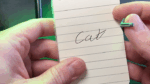 Epic Writer V2 - Image 4