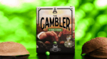 The Gambler Three Shell Game