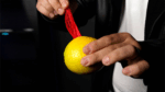 Vanishing Handkerchief - Image 5