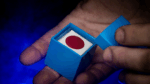 X Ray Vision - Image 3
